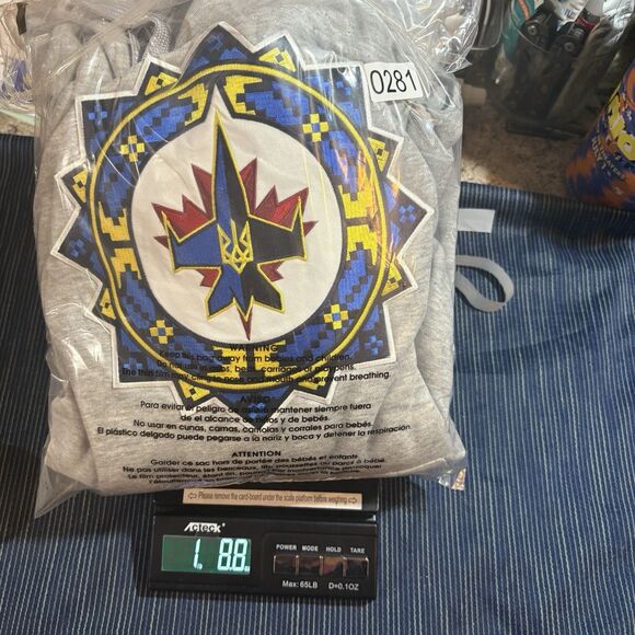 Jets Gear Hoodie Men XL Gray Pullover Winnipeg Logo Canada Hockey Fan Sweatshirt - Picture 8 of 8